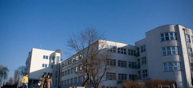 Університет Інформаційних Технологій та Менеджменту